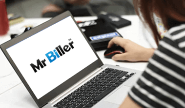 Mr.Biller online invoicing cheap pricing